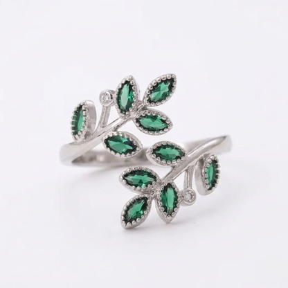 Anillo Jardín de Eva