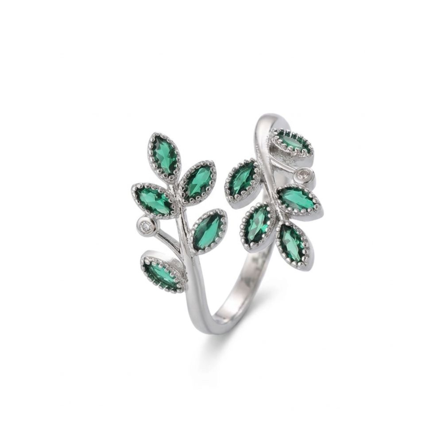 Anillo Jardín de Eva